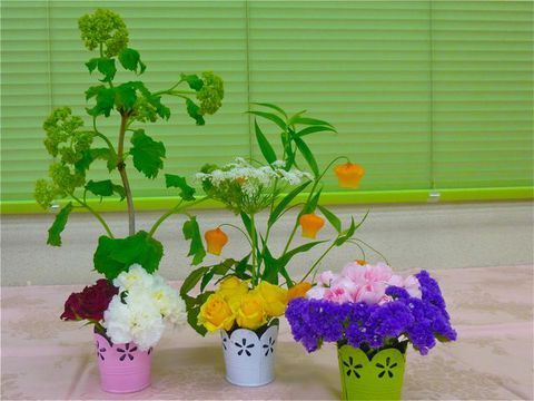 今月のフラワーハートセラピークイズ✿