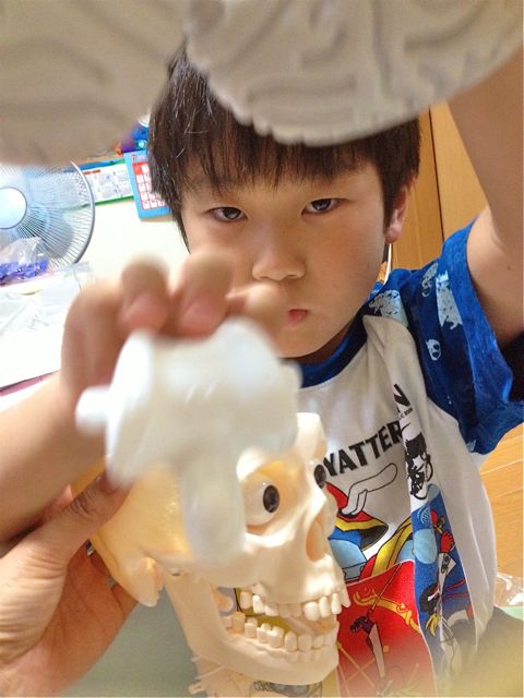 何になるのかなあ。。。