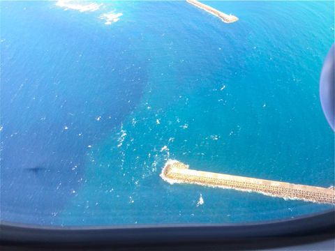 寒いので沖縄の風を