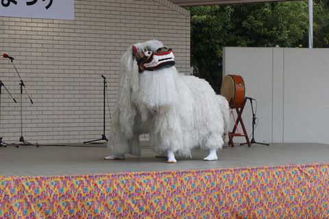 ひでちゃんカメラ ひでちゃんカメラ