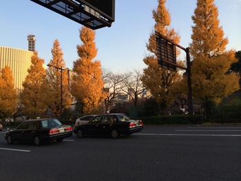 お泊りしてきました。♪