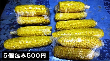 トウモロコシが500円