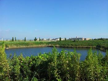 今年も海陽祭に行ってきたその1