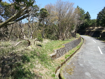 芦ノ湖高原別荘地の現場視察へ