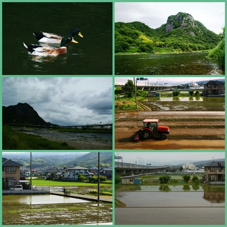 爽やか!!狩野川ウオーキング