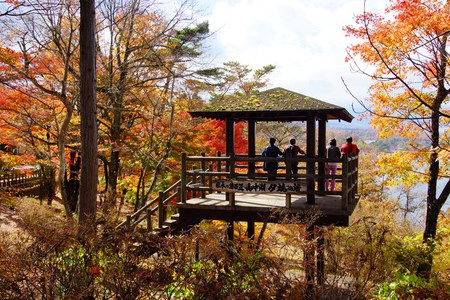 紅葉が見頃!!山中湖 紅葉が見頃!!山中湖