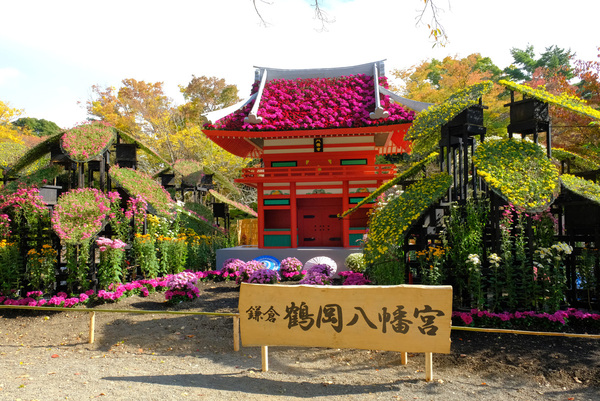 【10/28(土)〜11/30(木)】第71回楽寿園菊まつり 【10/28(土)〜11/30(木)】第71回楽寿園菊まつり