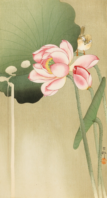小原古邨《蓮に雀》 1904-13年 中外産業株式会社 原安三郎コレクション 小原古邨《蓮に雀》 1904-13年 中外産業株式会社 原安三郎コレクション