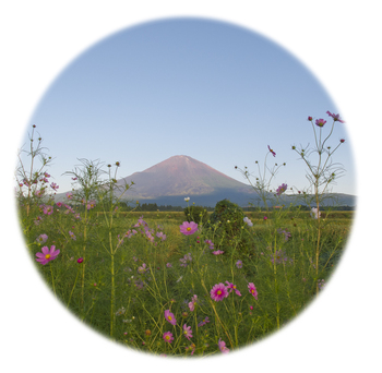 御殿場からみた富士山 御殿場からみた富士山