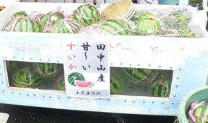 田中山スイカ祭り 田中山スイカ祭り