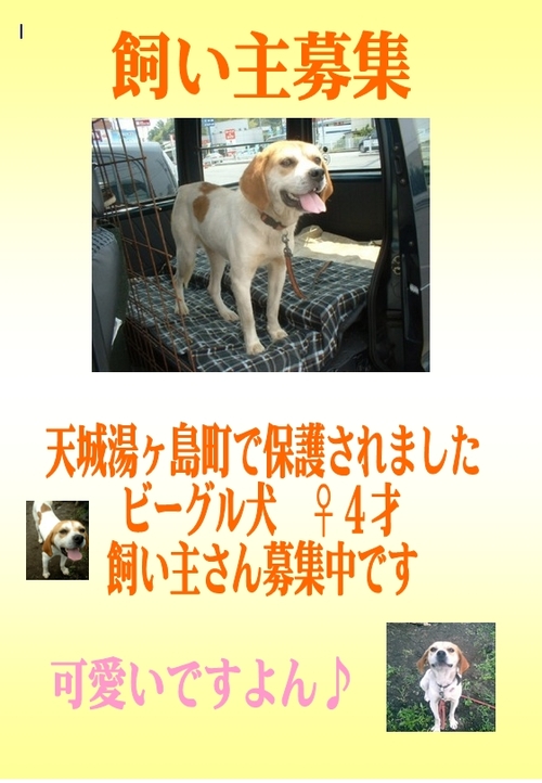探しています。