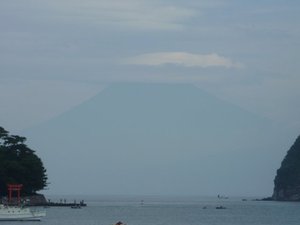 高足ガニの脱皮(駿河湾の不思議)