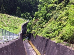 大倉川ダム