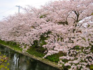 うちから一番近くの。。。