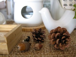 きんつば持って
