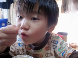 エデルちゃんちプリンちゃん