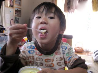 エデルちゃんちプリンちゃん