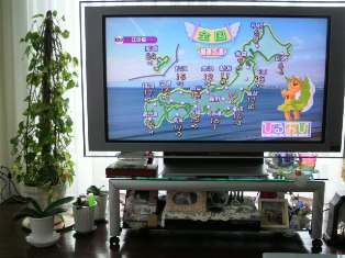ラッキーmegちゃん賞は「なにわじんさん」