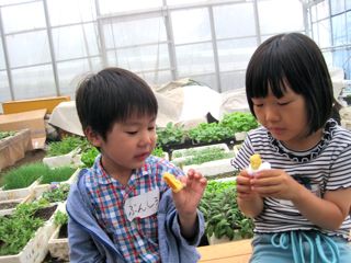 畑deクッキング&農園ランチ Vol.1