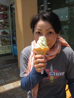 日本坂のぼりSA