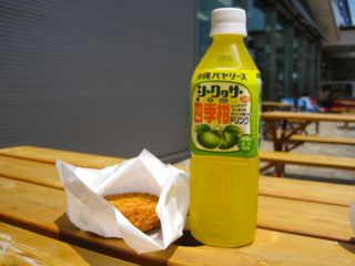 日本坂のぼりSA