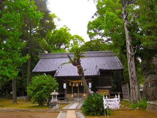 伊豆の3姉妹…大楠との出逢い