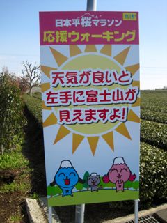 日本平桜マラソンで憧れのこの方と。