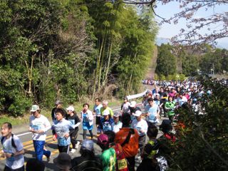 日本平桜マラソンで憧れのこの方と。