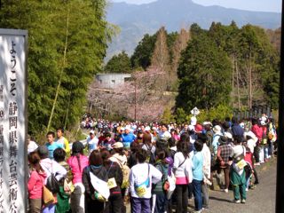日本平桜マラソンで憧れのこの方と。