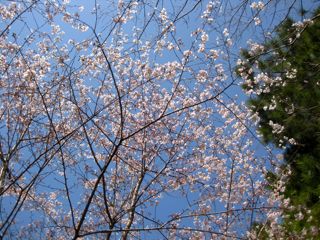 日本平桜マラソンで憧れのこの方と。