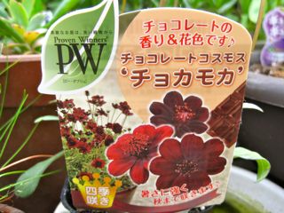 どうよ。
