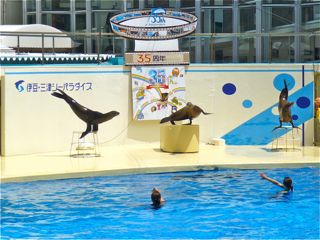 三津シーパラダイス