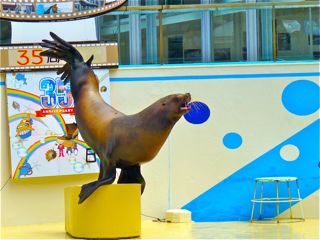 三津シーパラダイス