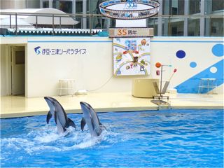三津シーパラダイス