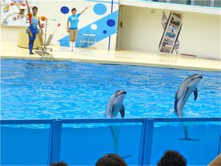 三津シーパラダイス