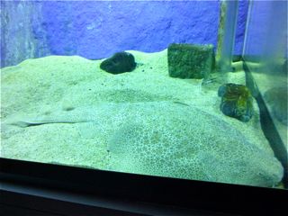 水槽の中