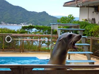 初のあわしまマリンパーク