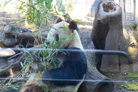 上野動物園part1