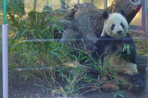 上野動物園part1