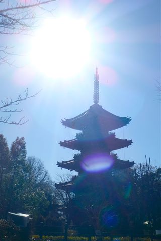 上野動物園part4最後だよ。