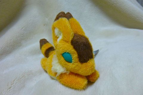 キツネリス
