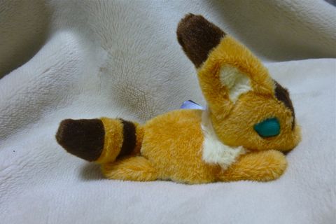 キツネリス