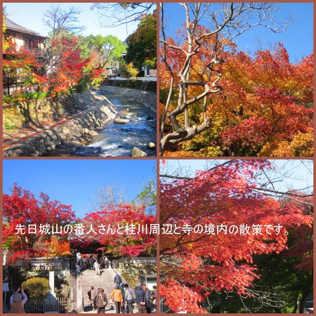 修禅寺境内~桂川の紅葉