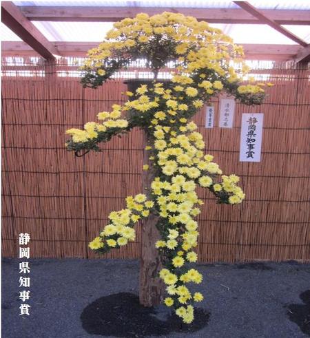 沼津御用邸記念公園 (菊華展)