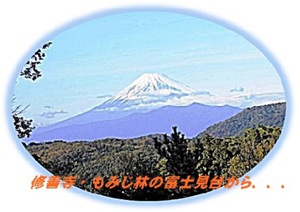 新しい年☀ 新しい年☀