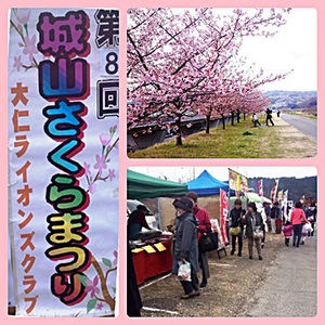 城山さくらまつりin伊豆の国市❀ 城山さくらまつりin伊豆の国市❀