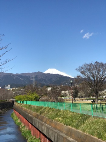 ✿春はすぐそこ✿ ✿春はすぐそこ✿