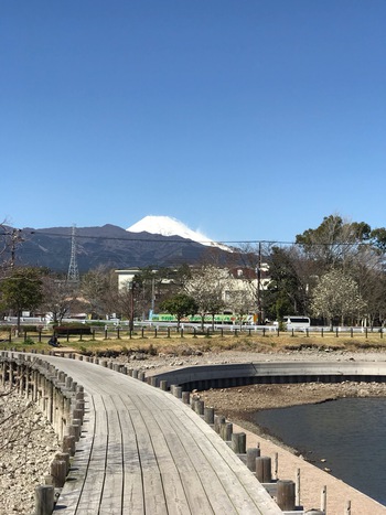 ✿春はすぐそこ✿ ✿春はすぐそこ✿