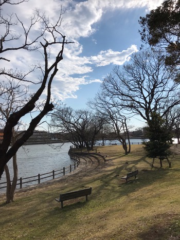 ◎ 門池公園の新緑 ◎ ◎ 門池公園の新緑 ◎