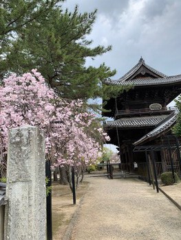 岡崎の大樹寺。 岡崎の大樹寺。
